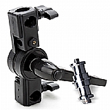 ���� ����� �������