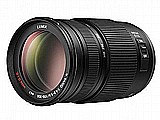 Panasonic Lumix G 100-300mm F4-5.6 OIS