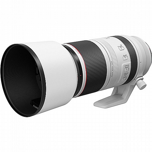Canon RF 100-500mm f/4.5-7.1L IS USM Lens