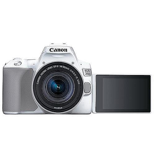 Canon EOS 250D + 18-55mm  ���! ����!