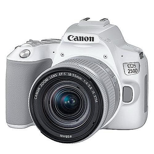 Canon EOS 250D + 18-55mm  ���! ����!