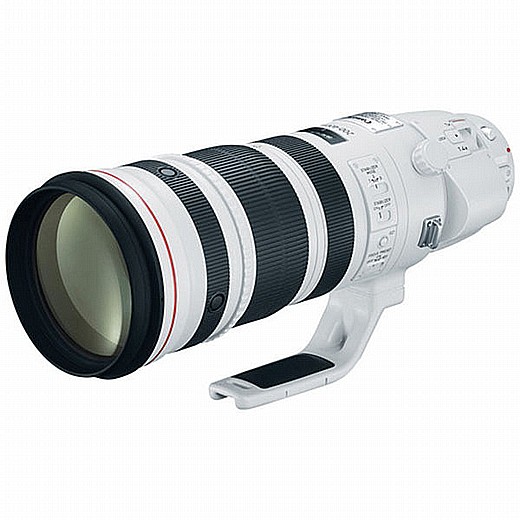 Canon EF 200-400mm f/4L IS USM �� ���� ����� 1.4x �� ����� ��� ������!