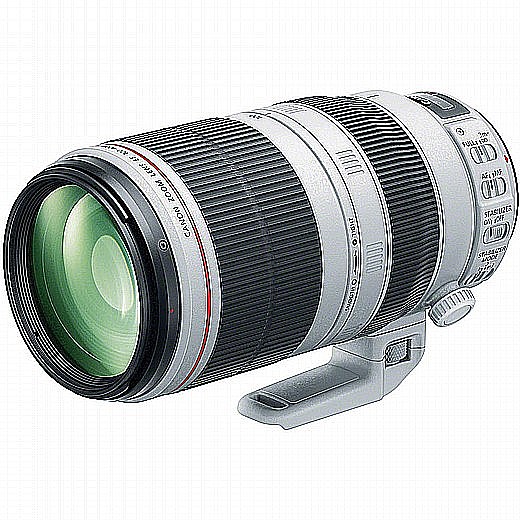 Canon EF 100-400/4-5.6L IS II USM �� ����� ��� ������!