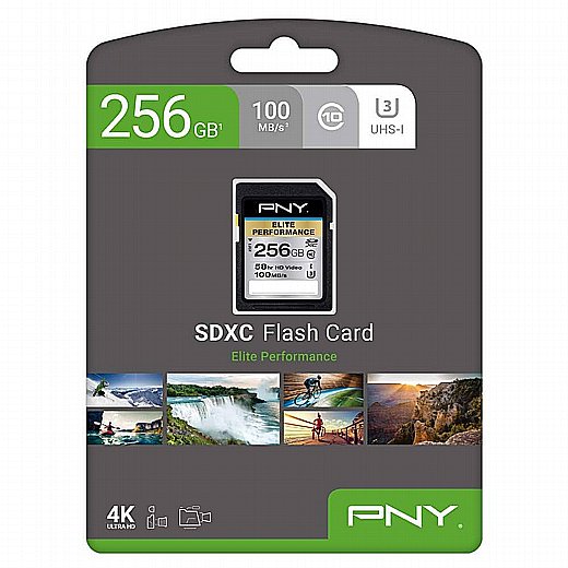 ����� ������ PNY SD ELITE 256GB