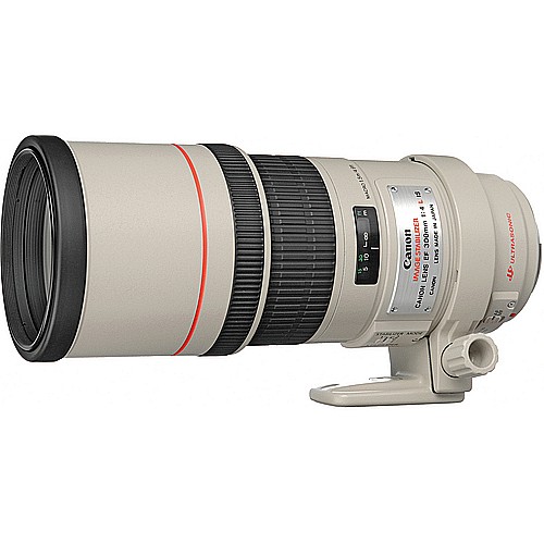 EF 300mm f/4.0L IS 