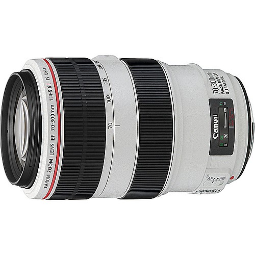  Canon EF 70-300mm f/4-5.6L IS  
