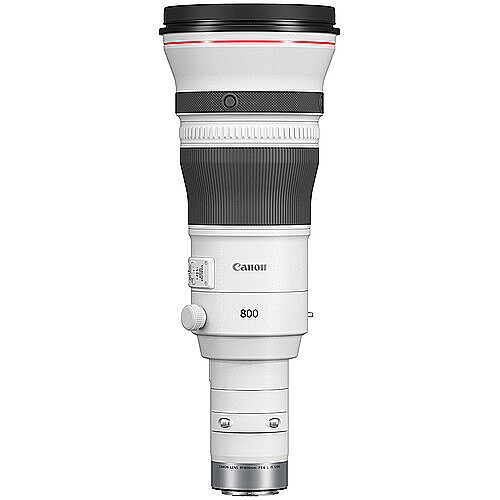   Canon RF800mm f/5.6L IS USM ���� ���� �����!