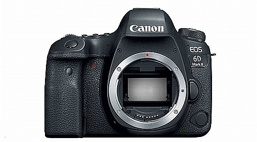 EOS 6D MARK II   ������ ���