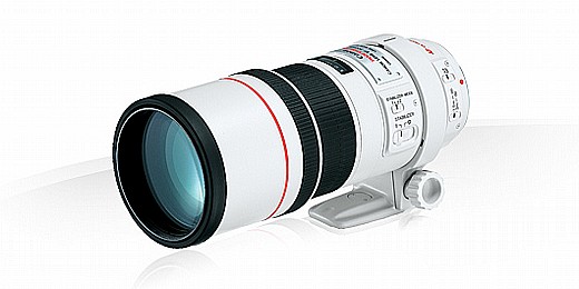canon EF 300/4L   ��  ���� ������ ���� ��� ��� !