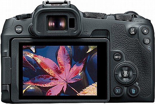   Canon EOS R8 ���� ���� ���� 24-50 RF ���� ���� �����!