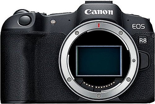 Canon EOS R6 ���� ���� �����!